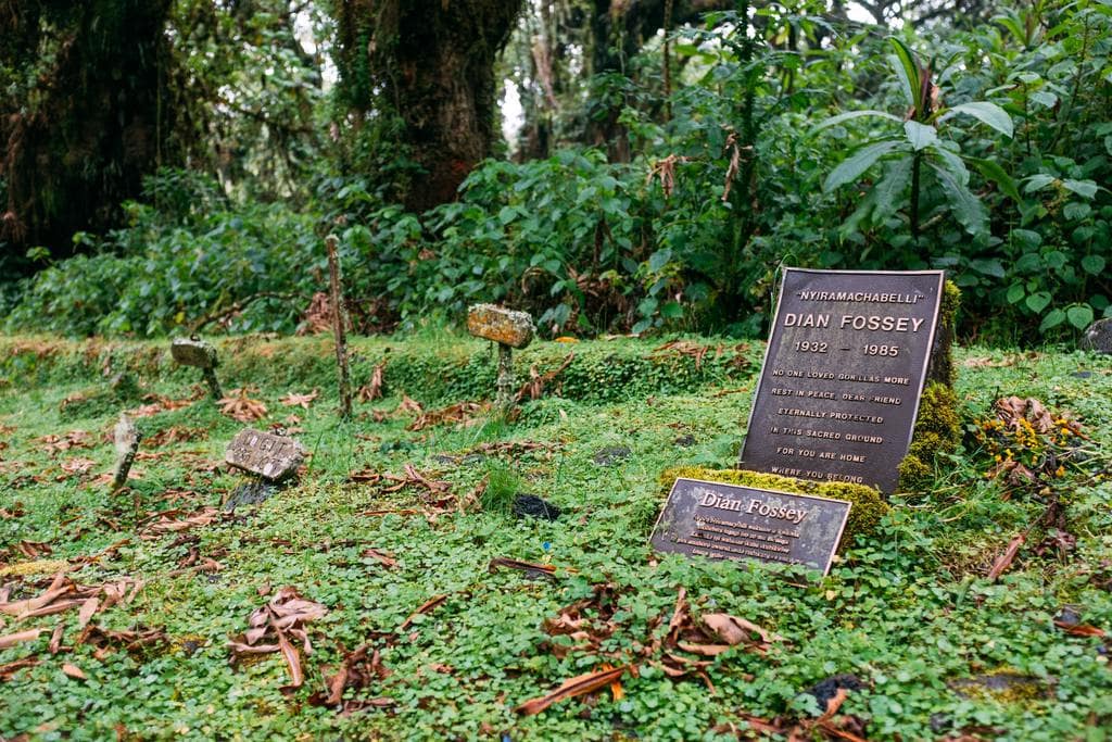 Dian Fossey Grave Hike