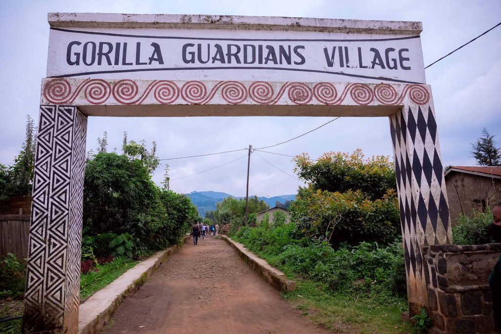 Gorilla Guardians Village