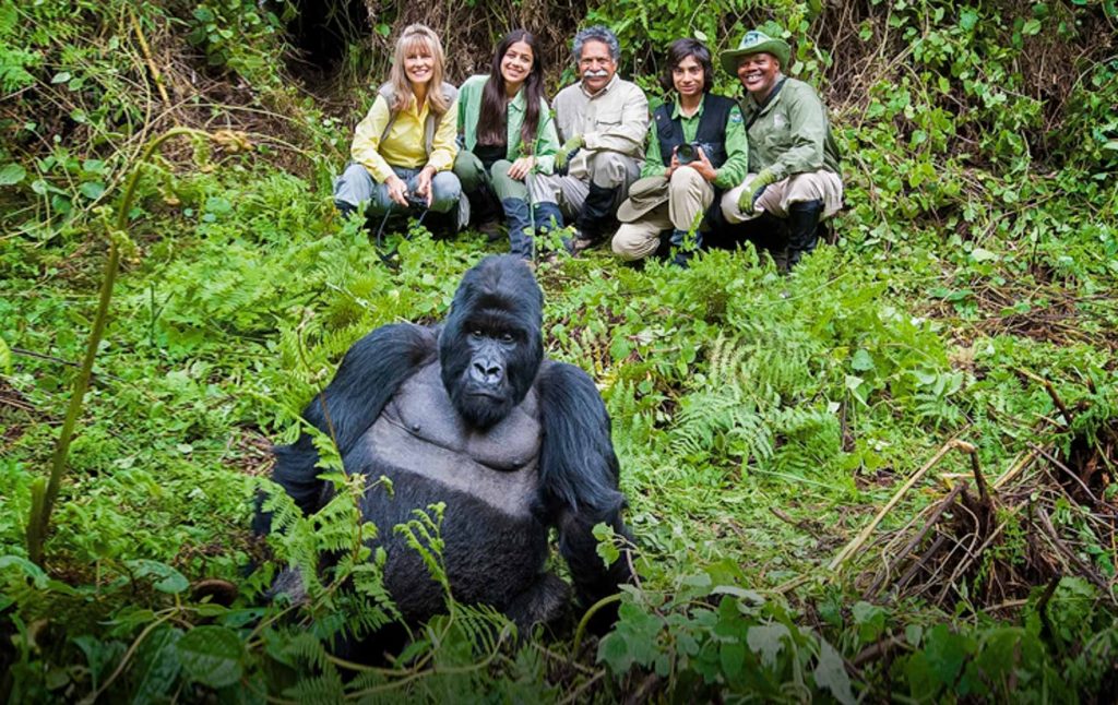 gorilla trekking in Rwanda