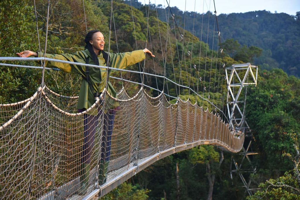 Canopy Walk  in nyungwe national park