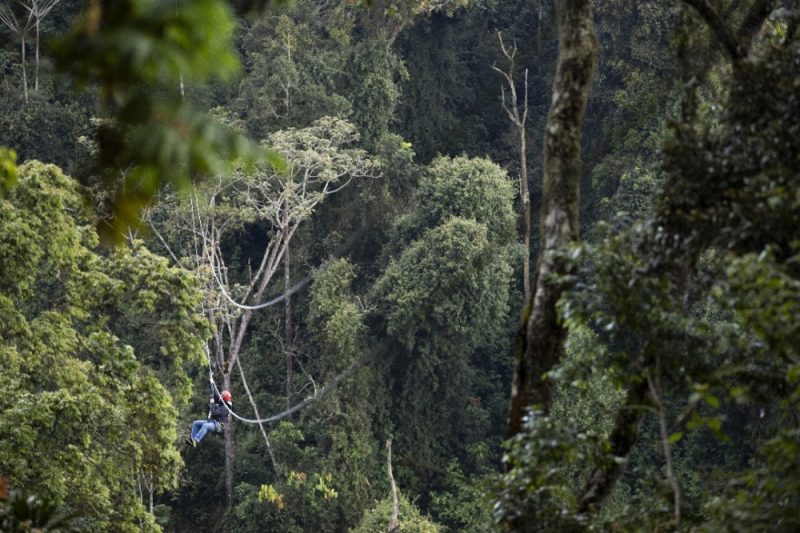 Bigugu Hiking Trail in Nyungwe Forest National Park.