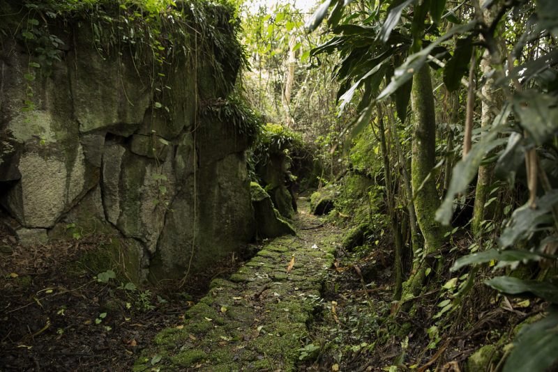 Buhanga Eco Park