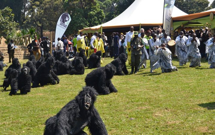 Gorilla naming Ceremony - Kwita Izina 2026