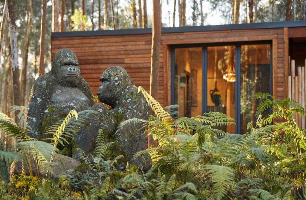 One and Only Gorilla’s Nest Lodge.