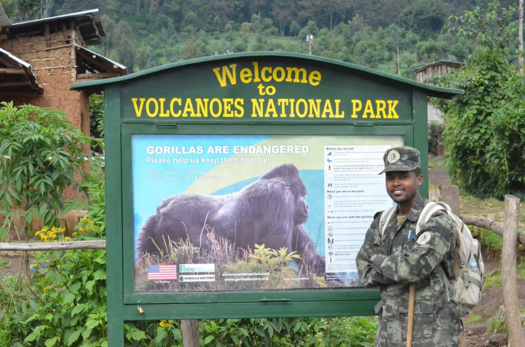 The Impact of War on Tourism at Volcanoes National Park