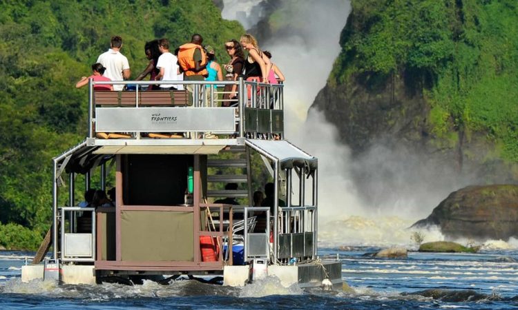 Queen Elizabeth National Park vs Murchison Falls National Park vs Lake Mburo National Park