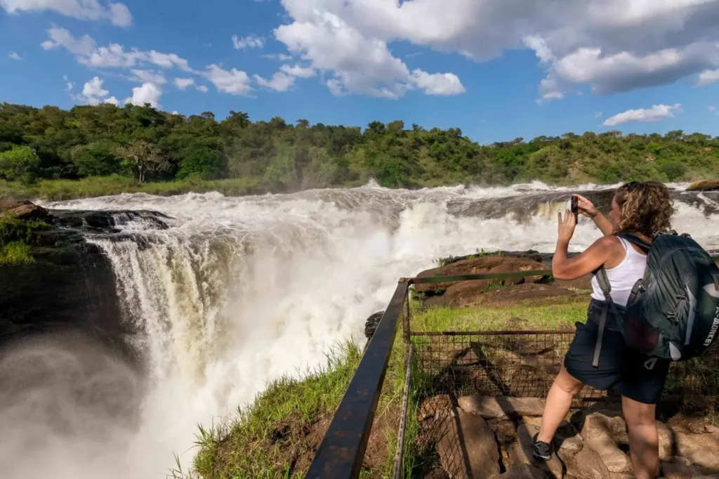 Queen Elizabeth National Park vs Murchison Falls National Park vs Lake Mburo National Park